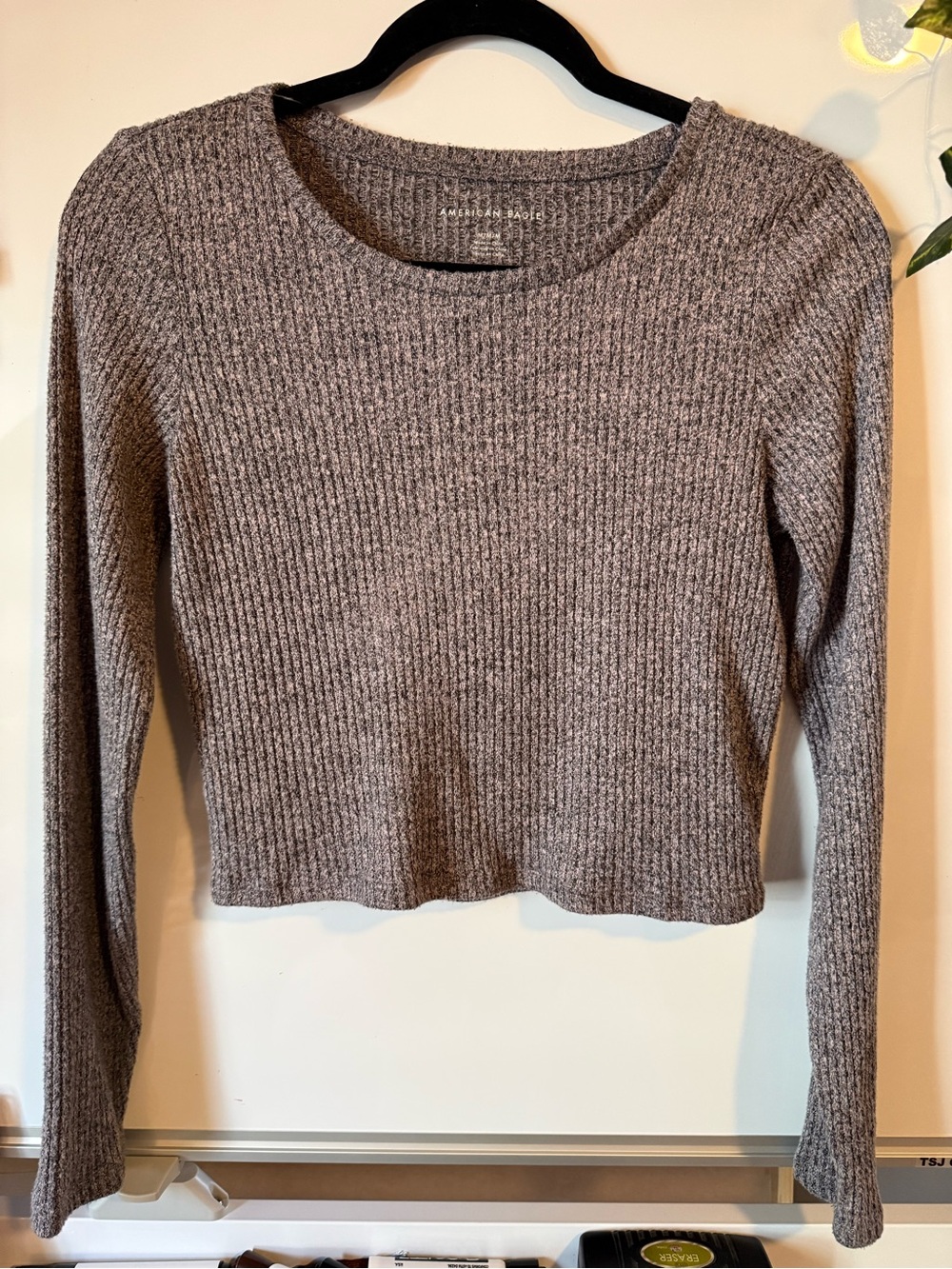 American Eagle Outfitters Ribbed Long-Sleeve Crop Top